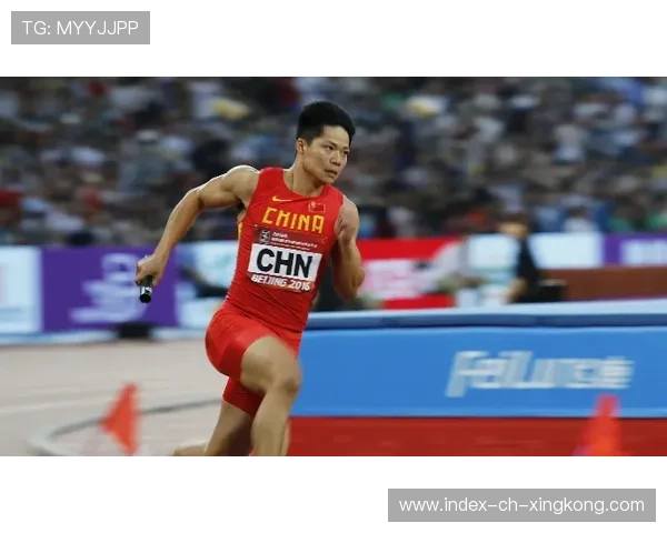 全运田径泳坛双线爆发，国内青训成果初现成效