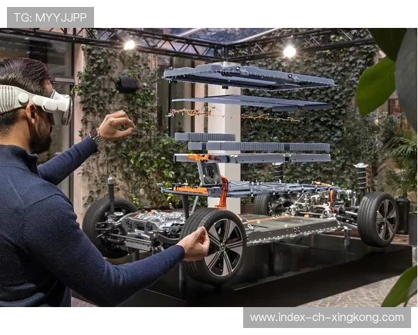 MMA技术整合趋势让比赛更全面