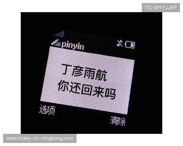 复出第一场就砍20+，状态回来了