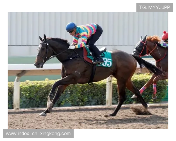 弗拉门戈新战略：以国内赛事为国际选拔的未来蓝图